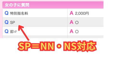 SP=NN・NS対応