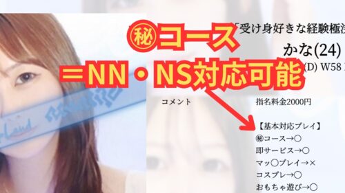 アマンテNNNS説明
