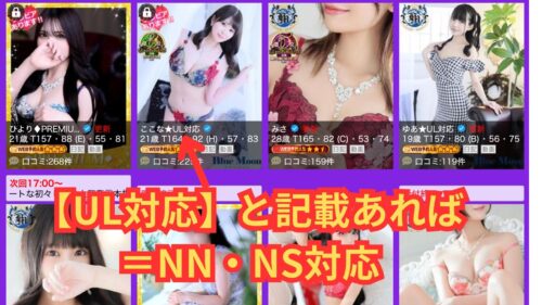 UL対応＝NN/NS対応