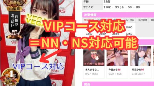 VEGAS NN・NS対応