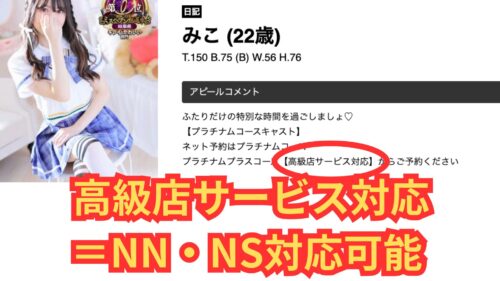 高級店サービス対応＝NN・NS対応