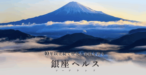 銀座ヘルス HP