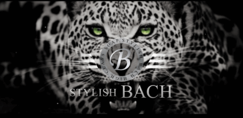 STYLISH BACH　HP