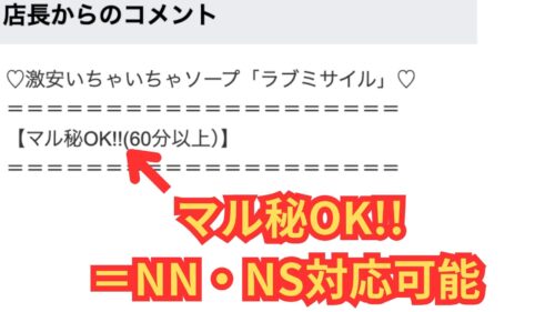 ラブミサイルNN・NS対応