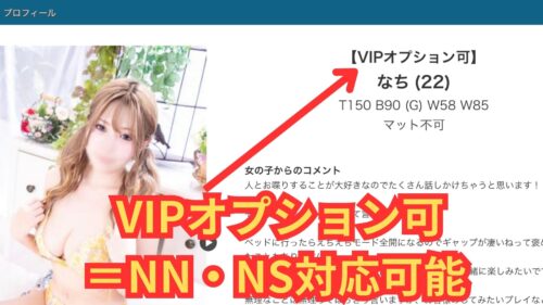 VIP=NN・NS対応可能