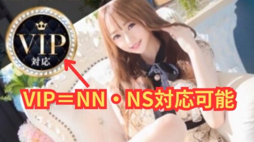 TOKUSHIMA PREMIUM ENZO NN・NS対応