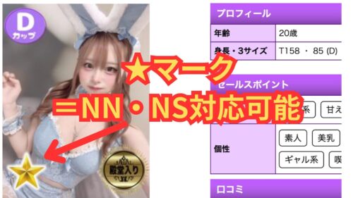 石亭NN・NS説明