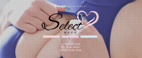 Select HP