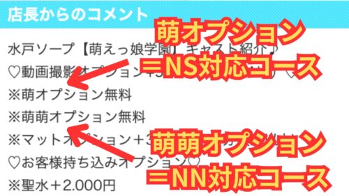 アイドルソープ萌えっ娘学園 NN・NS見分け方