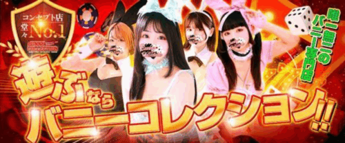 Bunny Collection Chiba HP