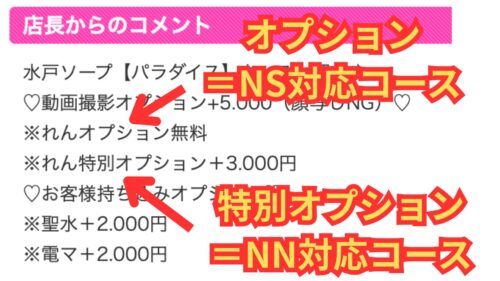 パラダイス水戸 NN・NS見分け方