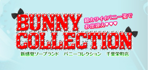 バニーコレクション タイトルロゴ