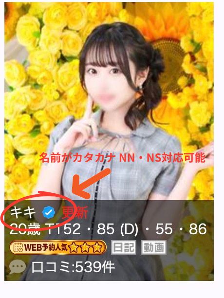 ファンタジー 名前がカタカナ NN・NS対応可能