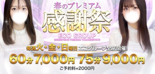 スピードエコ（SPEED ECO）サイト
